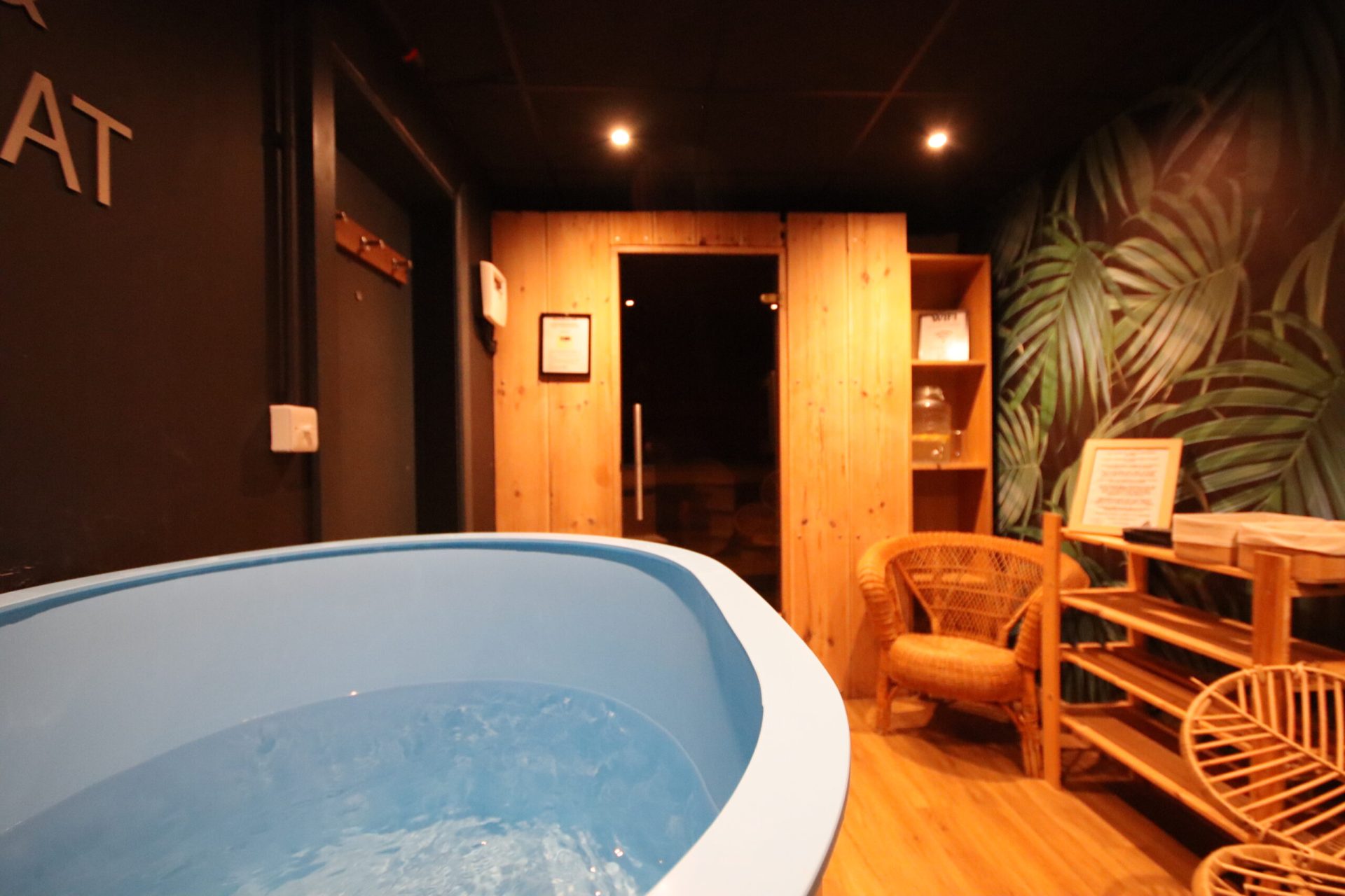 Sauna Cold Plunge Therapy Newquay